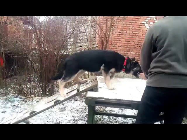 Уже учимся! смотреть онлайн