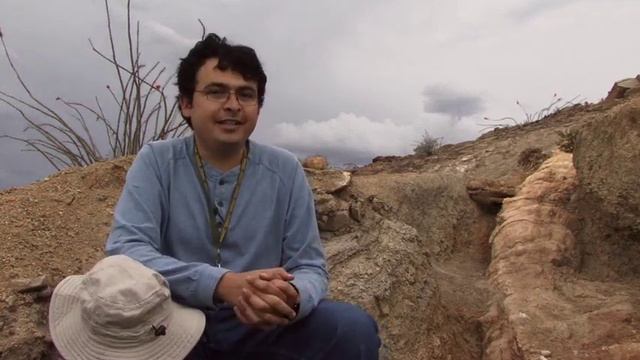 Entrevista con el Dr. Emilio Estrada en DECA Parque Cretácico, Chihuahua, México смотреть онлайн