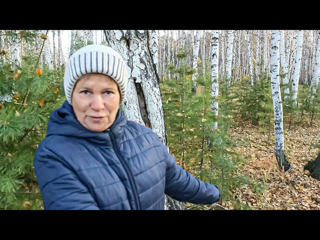 Грибная охота в октябре смотреть онлайн