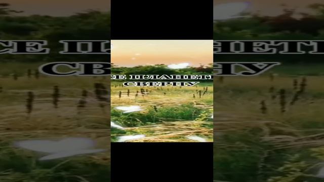 #Я все смогу💕💯 смотреть онлайн