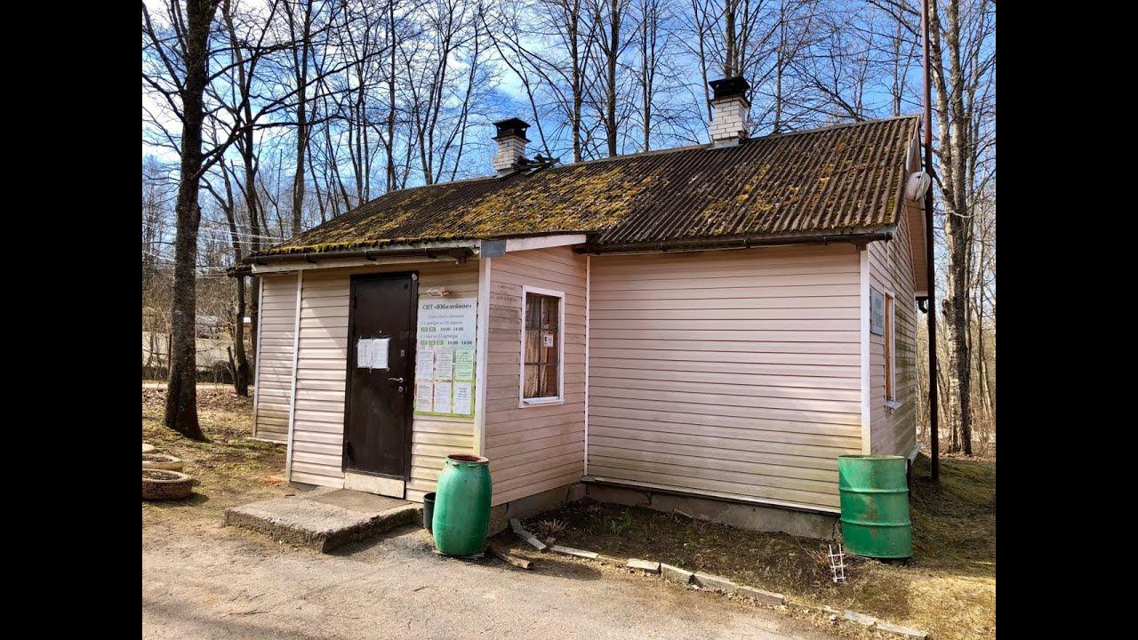 Морозова Н В разносит инфекцию в Правление СНТ " Юбилейное" смотреть онлайн