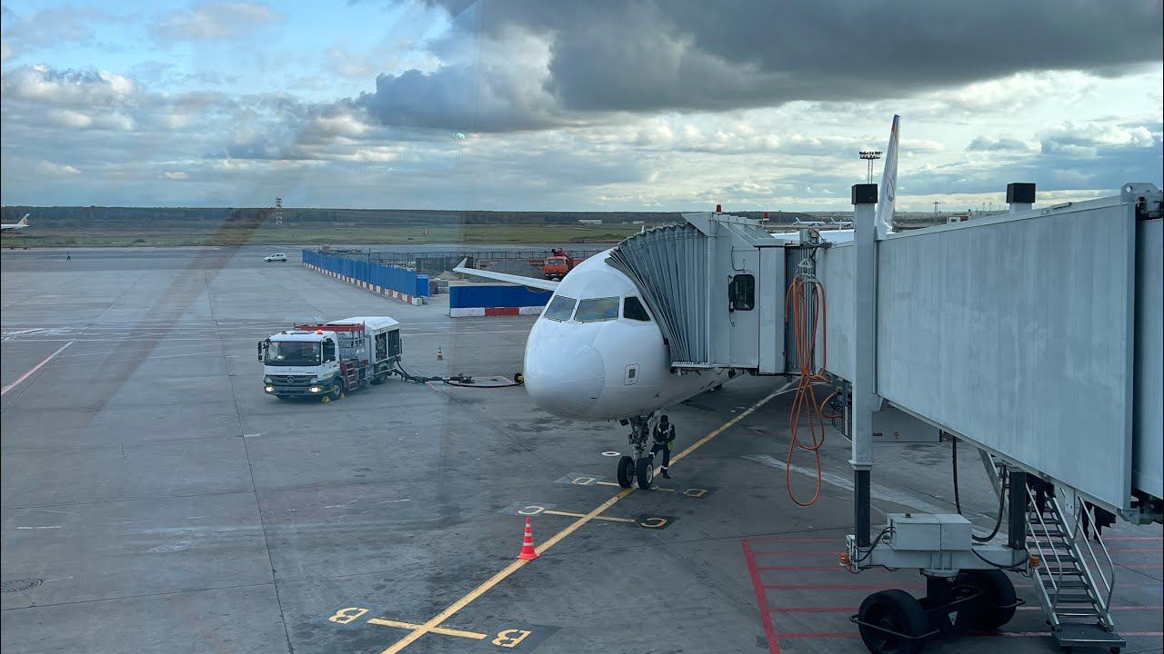 VLOG11. Калининград. Сильный шторм, похолодало. Звуки моря. Возвращение в Москву, Домодедово