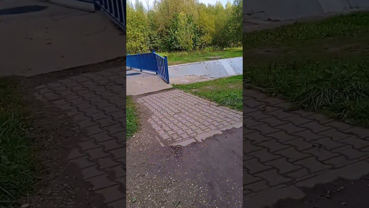 малый городской пруд #пруд смотреть онлайн