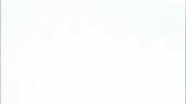 Дерево и кошка