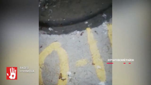 Хрустят прямо под ногами смотреть онлайн