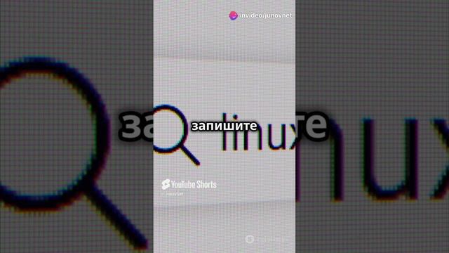 Linux что это | Django School | JunovNet смотреть онлайн
