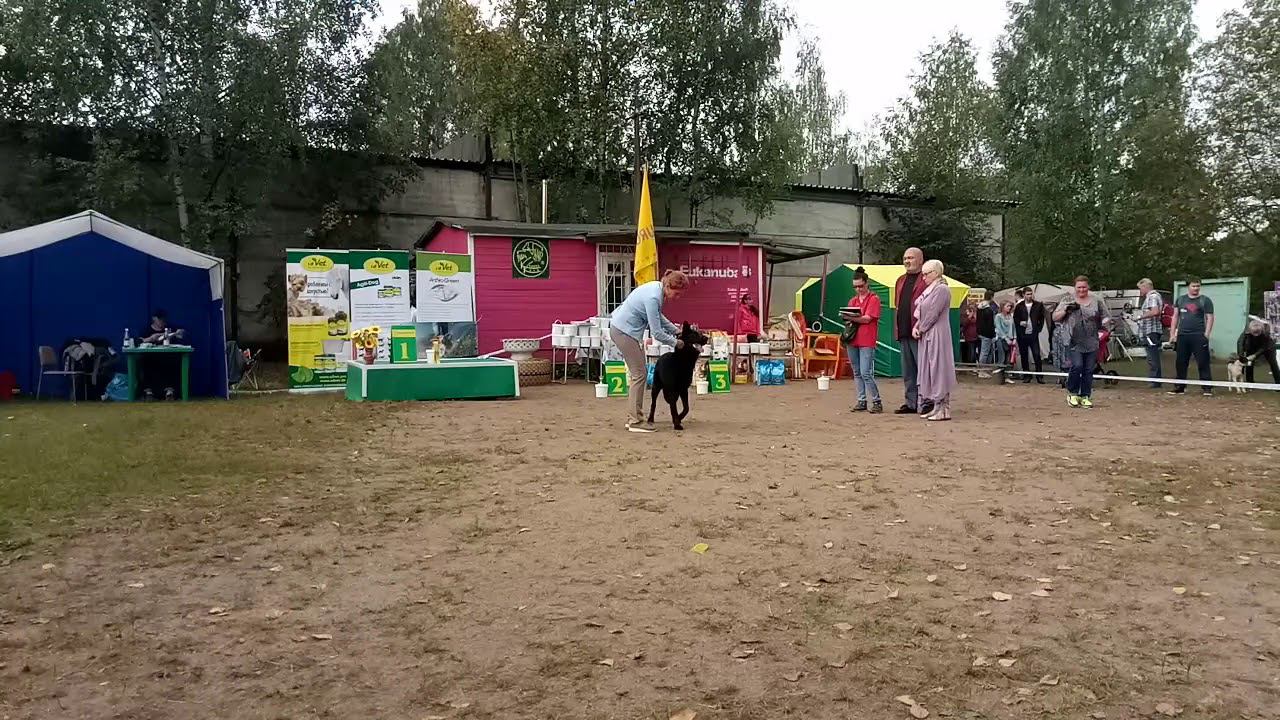 V80909 1142081 смотреть онлайн