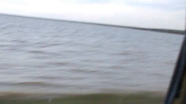 DSCN1871 Калмыкия фестиваль тюльпанов