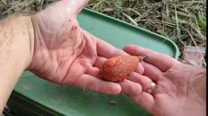 Рыбалка на карпа осенью Рыбалка по холодной воде. #карп #карась #fishing #рыбалка #донка #carp #флэт