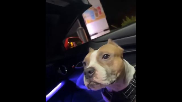 UNUSUAL MEMES COMPILATION V240 смотреть онлайн