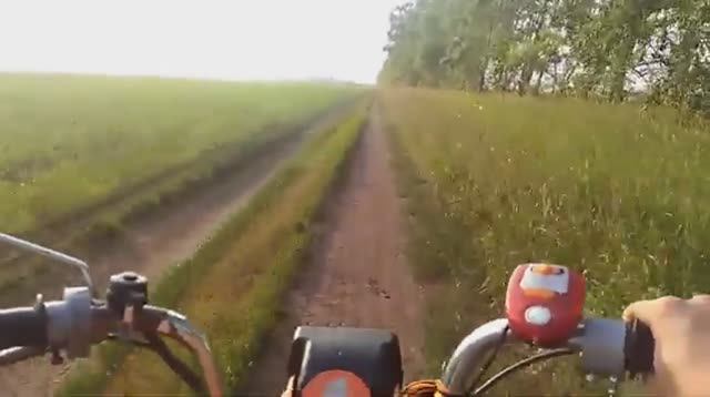 Карпаты _я свободен_ Remix+Phonk