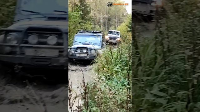 Из-за леса, из-за гор выезжает УАЗ! смотреть онлайн