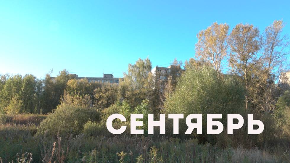 СМУТНОЕ ВРЕМЯ #23 смотреть онлайн