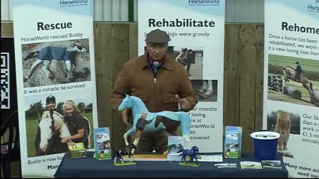 Monty Roberts Painted Pony Shy Boy смотреть онлайн