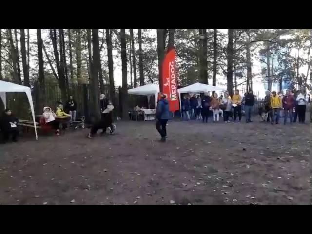 Султан смотреть онлайн