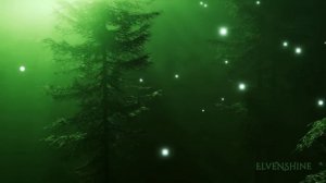 Enchanting Forest Music 🎵  for Relaxation and Meditation 🌲✨ Path to The Elven Lands