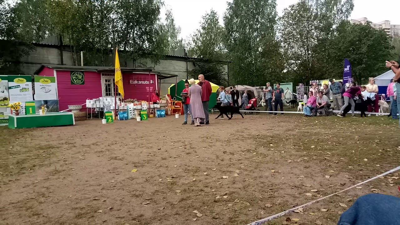 9 сентября 2018 г. смотреть онлайн