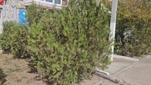 10. Новый этап жизни