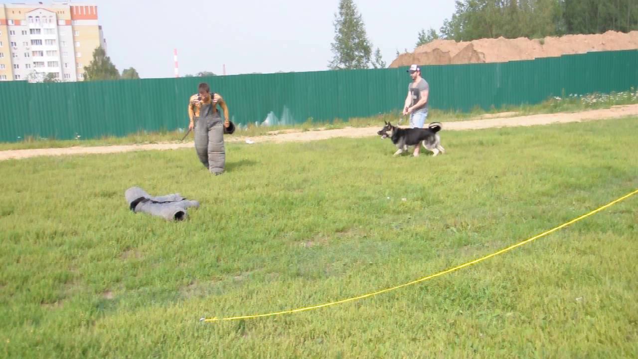 DSC 0004 смотреть онлайн