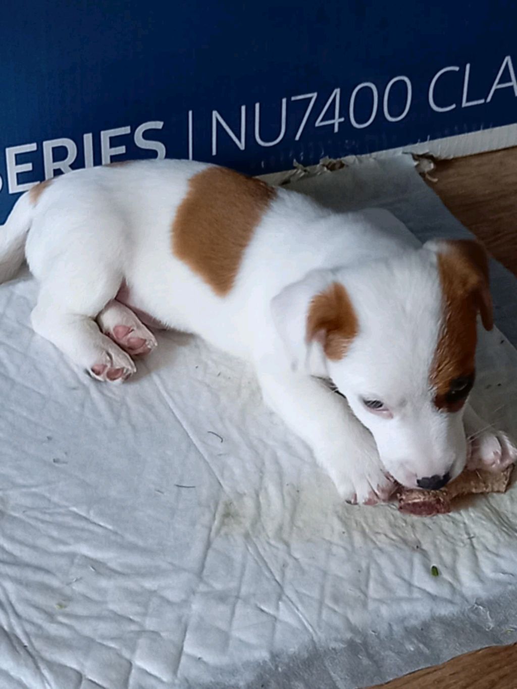 вкусняшкиии