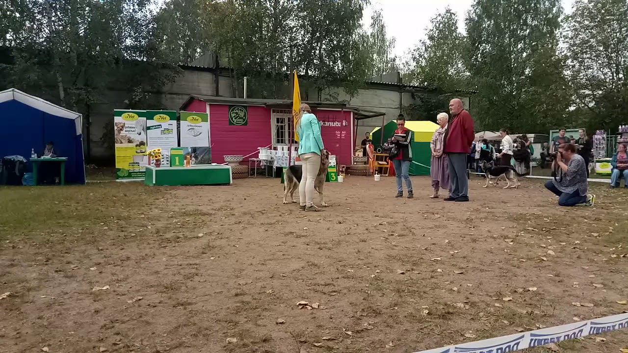Рашель Ютта Же Тэм смотреть онлайн