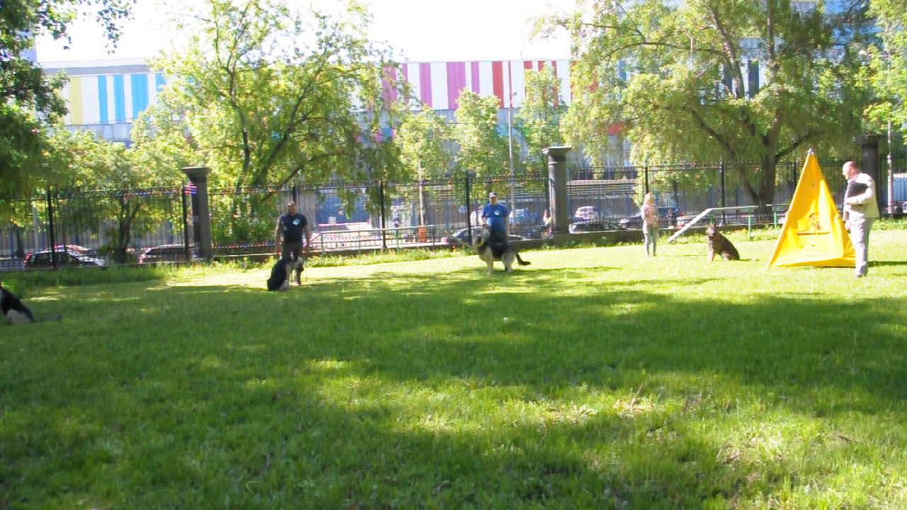 Тестирование Выстрел-ЧК 18.05.2019 смотреть онлайн
