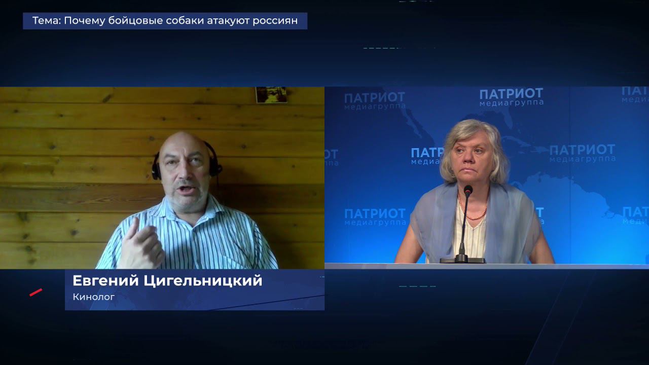 Ильина в прямом эфире. смотреть онлайн