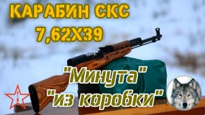 "Минутный СКС". ;) Еще один карабин "из коробки". 
("One MOA SKS" ;) Another rifle out of the box.)