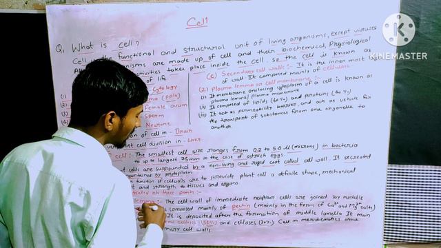 कोशिका | Human Cell in Hindi |The Fundamental Unit Of Life|Organelles | Structure by Akhilesh sir смотреть онлайн