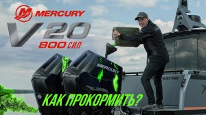 Тест моторов  MERCURY 400 V10  спарка  20 цилиндров!!! и 800 лошадей!!!  Катера и лодки. #тестдрайв