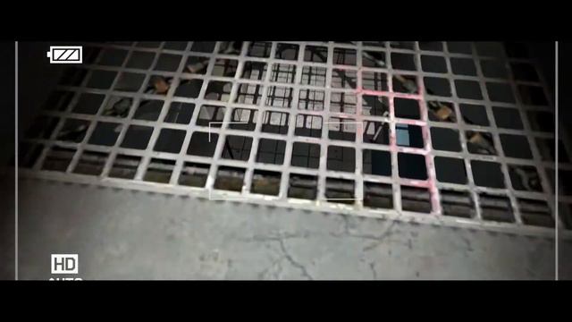 поиски запись Sanaj Channel