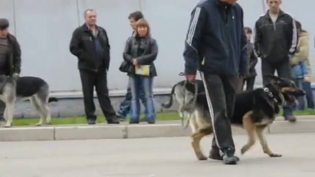 IВАНГУЛ Урфин Джус Череповец рядовость смотреть онлайн