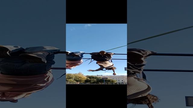 хз смотреть онлайн