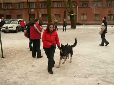 Кашэр Кэйс ЛК смотреть онлайн
