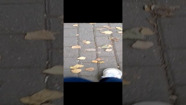 Идем домой смотреть онлайн