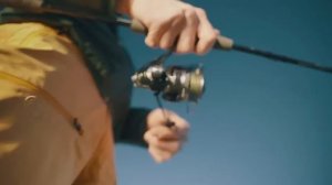 Company Beyond Nordic