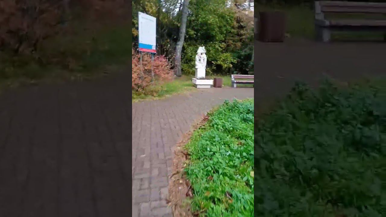 Крюковский лесопарк смотреть онлайн