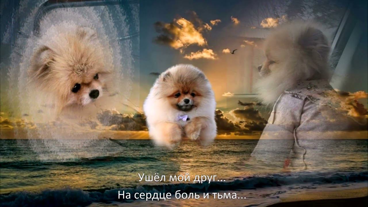 ДЖОЙКА смотреть онлайн