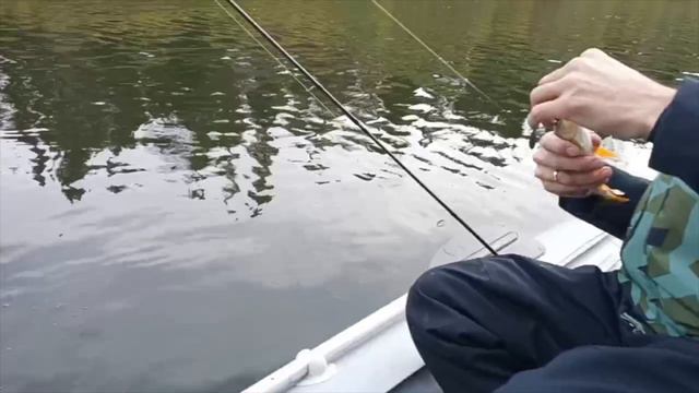 Водомет PARSUN 40лс. Испытания на малой воде смотреть онлайн