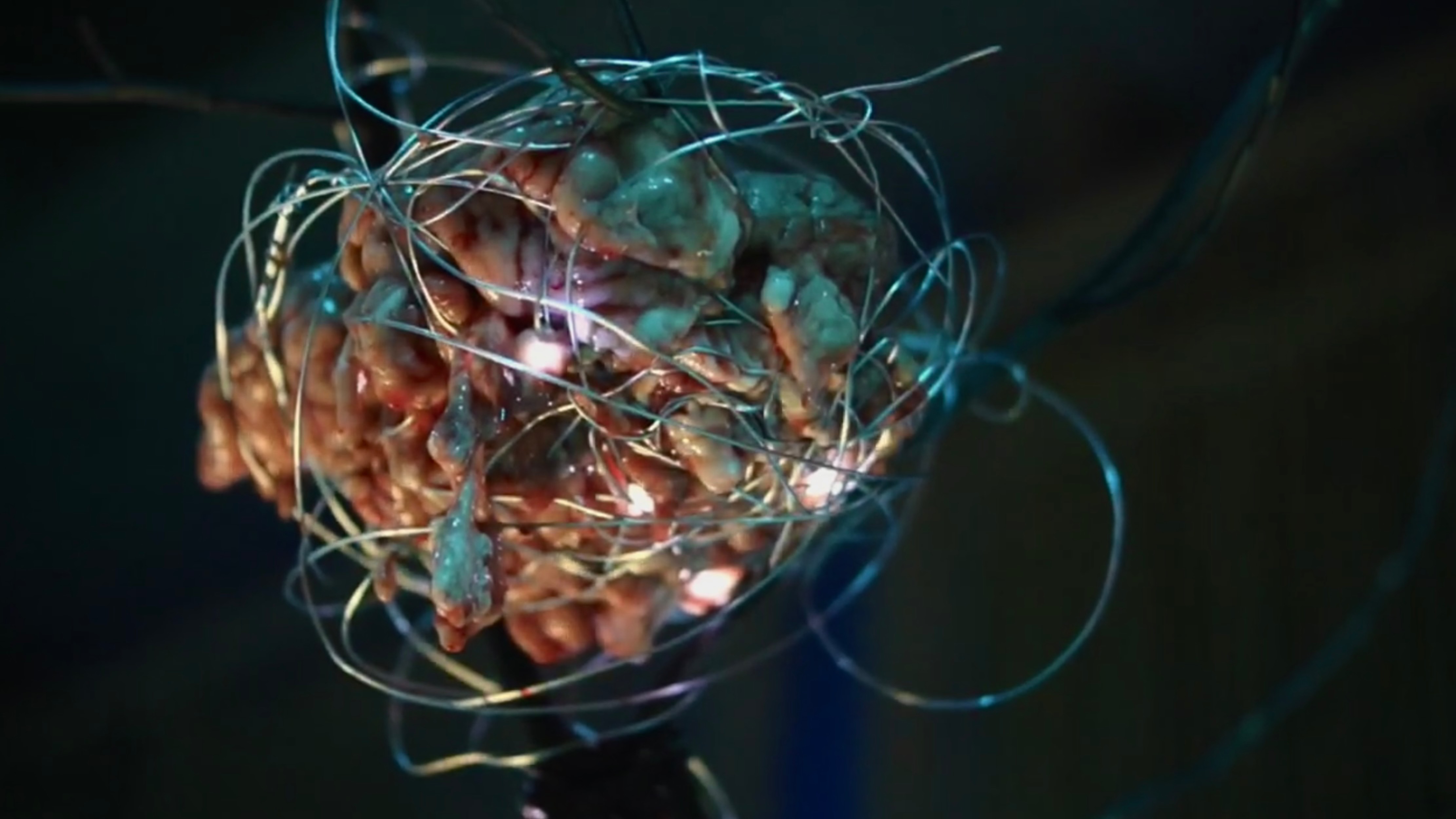 “ALIEN MASQUERADE”