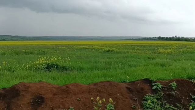 12.07.2023г Жив остался Якудза и могу показать это видео , его снимал почти четыре месяца назад .