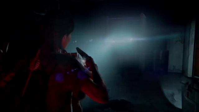 Ellie Williams 4K 60fps Scenepack (TLOU 2)