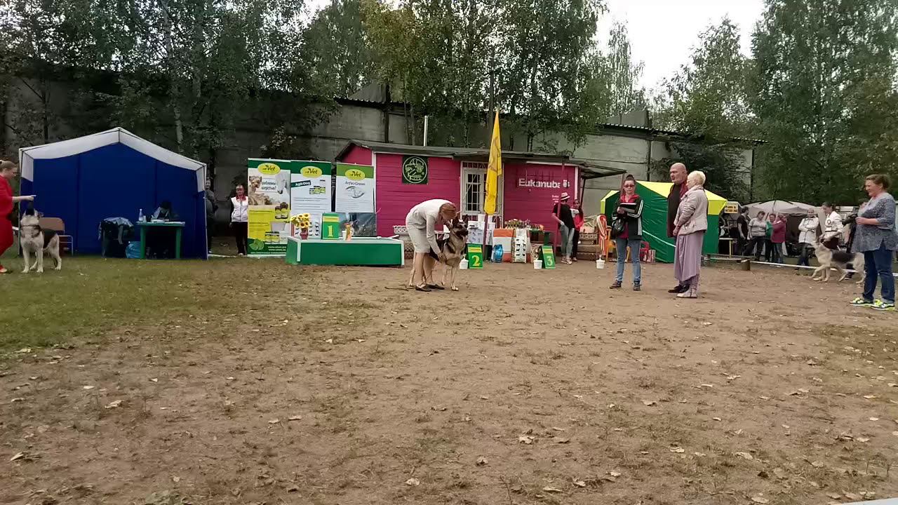 10 сентября 2018 г. смотреть онлайн