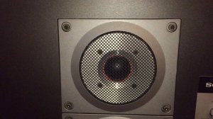 Колонки Sony RX-7 ОБЗОР