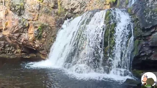 Долго будет Карелия сниться!