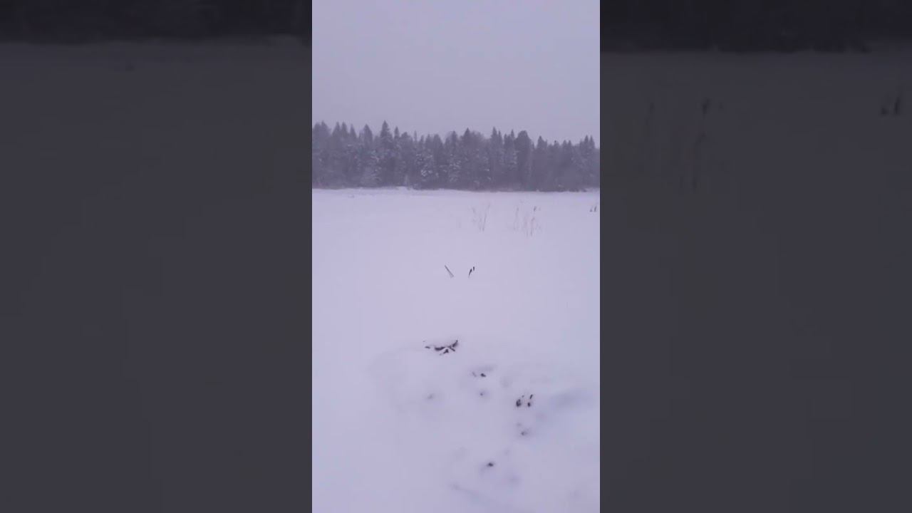 истринское водохранилище смотреть онлайн