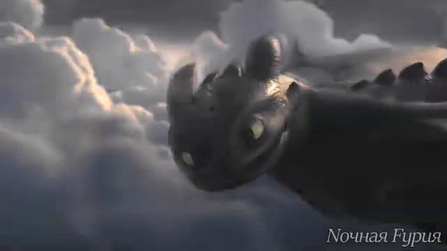 Иккинг и Беззубик /Самолёт