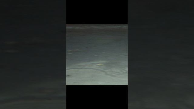 балуюсь с друзьями *часть 1* смотреть онлайн