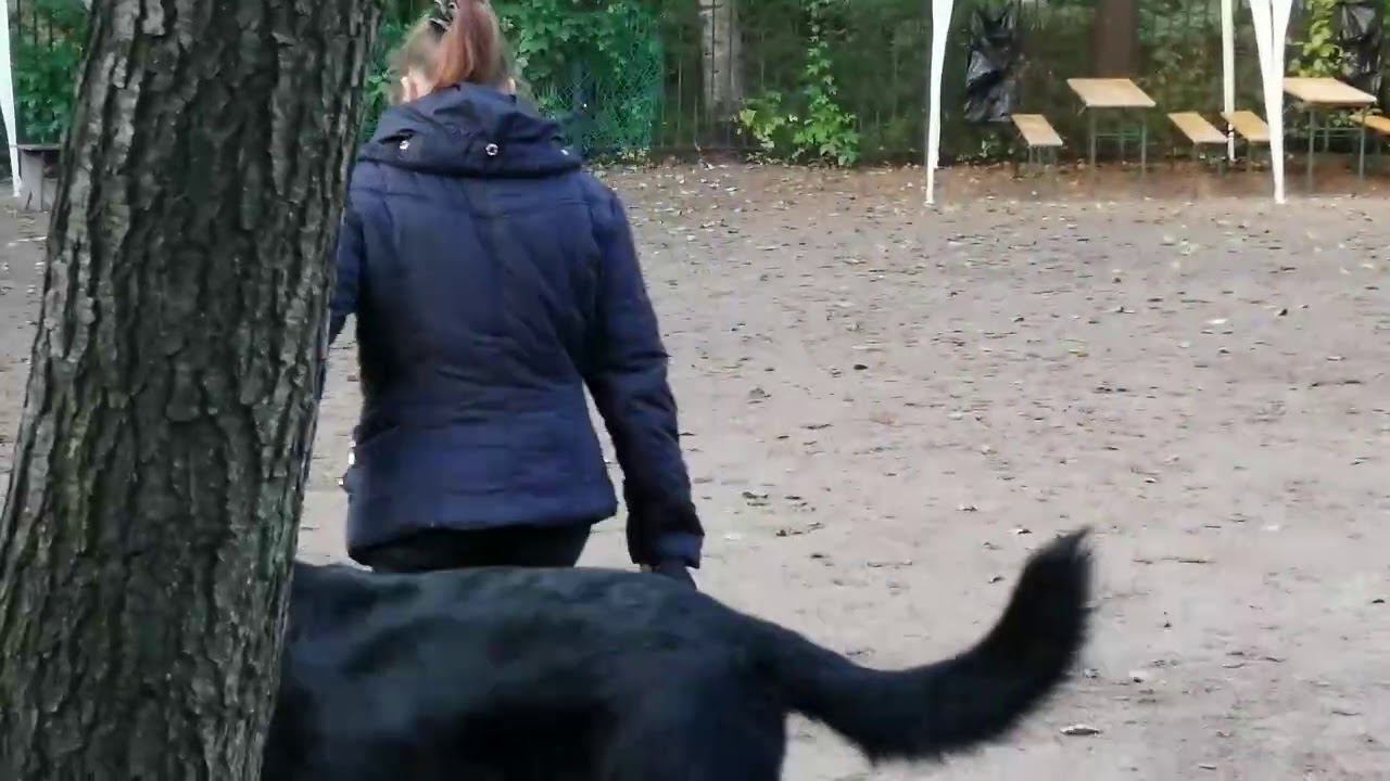 Г.П.ШТИРЛИЦ рядовость смотреть онлайн