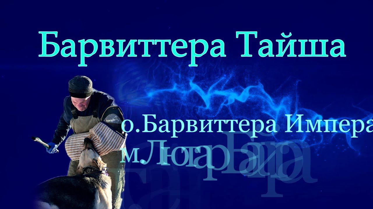 ТАЙША -ТРЕНИНГ смотреть онлайн